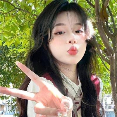 总统的危机